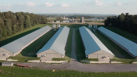 rising aerial of chicken houses, barns for poultry