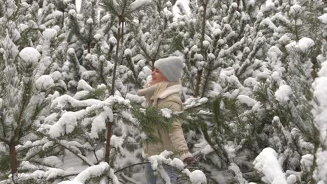 Schöne-Frau,-Die-Zwischen-Verschneiten-Bäumen-Im-Winterwald-Steht-Und-Den-Ersten-Schnee-Genießt.-Frau-Im-Winterwald.