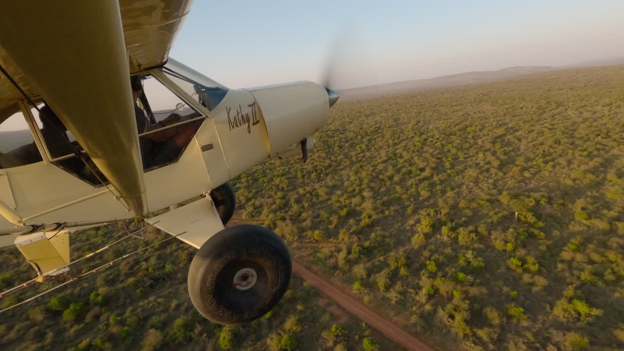 Aereo leggero su veduta aerea di vegetazione e strada sterrata.