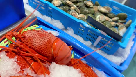 variety of seafood on ice at market