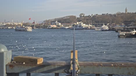 fishermen fishing on the bosphorus, galata bridge, with a sea view