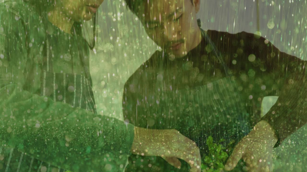 애니메이션으로 표현된 성장 아이콘과 함께 화분에 심어진 모종을 가리키는 두 명의 정원사 (원예 관련)