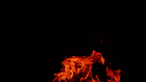 beautiful burning fire with flames and sparkles flying up. blaze in the darkness.