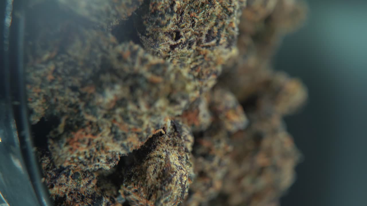 A vertical macro cinematic detailed shot of a cannabis plant, orange hybrid strains, Indica and sativa ,black marijuana flower, on a rotating stand, slow motion, 4K video, professional studio light