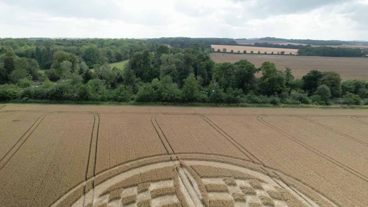 햄프셔 시골의 남부 원스턴 2023 골든 밀  ⁇  작물 원에서 멀리 올라가는 공중 뷰