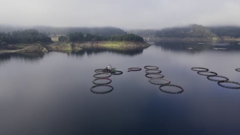 vista aérea de una granja de truchas con jaulas circulares en el lago