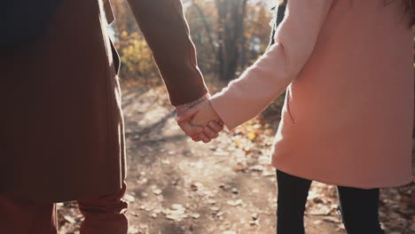 couple walking hand in hand in autumn park