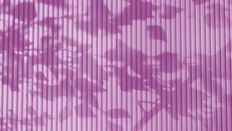 shadow of tree branches and leaves on vertical pink corrugated metal wall. abstract natural light and linear pattern background. design for wallpaper, banner, postcard, greeting card, poster, header.