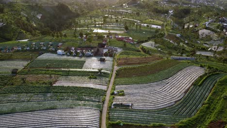 Vista-Aérea-Del-Edificio-En-Medio-De-Una-Plantación-De-Hortalizas-En-La-Ladera-De-Una-Montaña