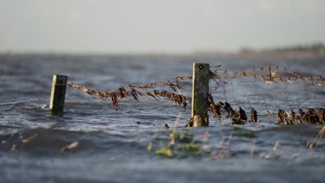 una toma estática de estacas de madera en aguas tormentosas por la mañana