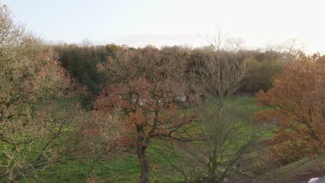 Rising-up-above-small-house-surround-by-forrest-at-Oudemirdum-during-autumn,-aerial