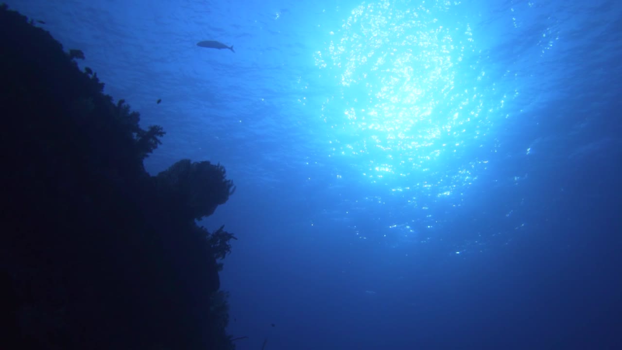 깊은 곳에서 표면을 향해 촬영하는 카메라