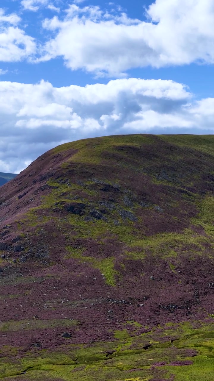 La telecamera effettua una panoramica fluida su un crinale montuoso erboso e coperto di erica in pieno giorno, Highlands, Scozia.