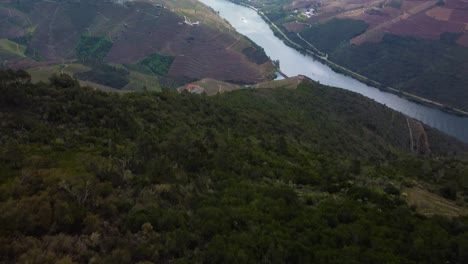 bird's eye view of the douro valley and river with the many terraces and the vineyards of the porto wines