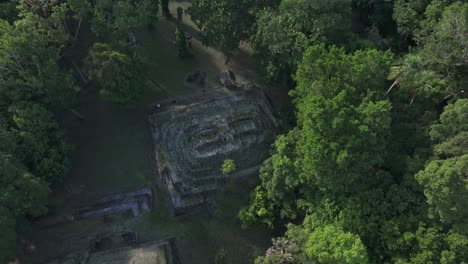 peten jungle with old mayan ruins at yaxha guatemala between trees, aerial