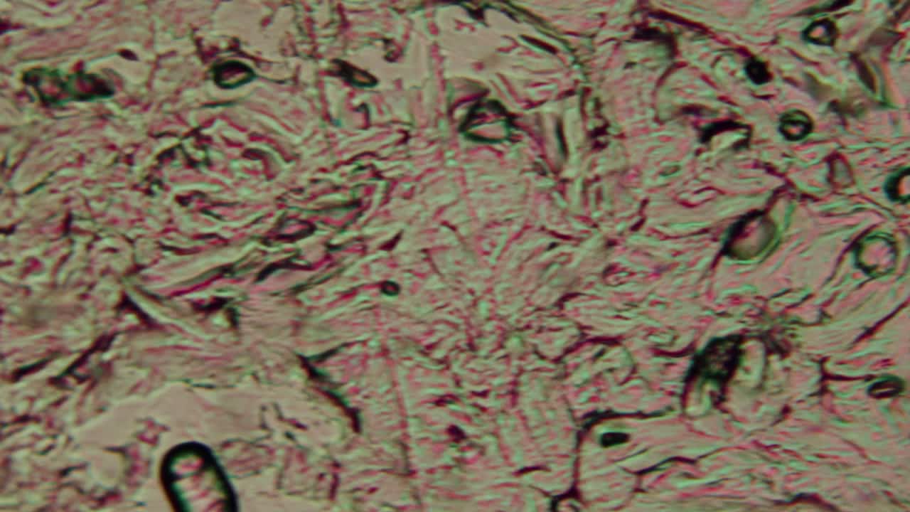 Visione microscopica di strutture cellulari organiche