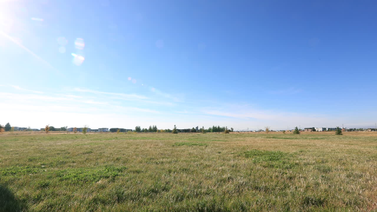 pastor australiano corriendo en cámara lenta 4k