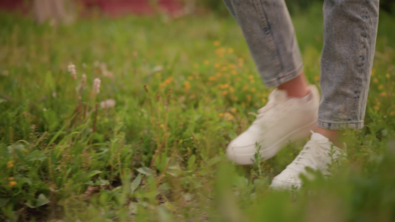 Close-up of young woman s legs in light denim jeans and white sneakers walking through grassy field, with lush green grass and gentle movement as she steps forward