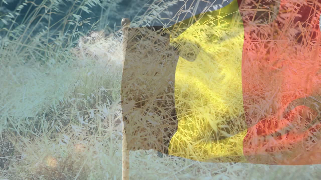 Soldier entering from right, lining up rifle in dry grass, flag overlay showing military training