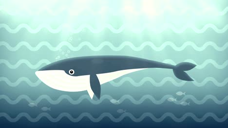 cartoon whale swimming in the ocean underwater