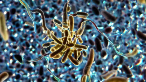 microscopic view of various bacteria and microorganisms