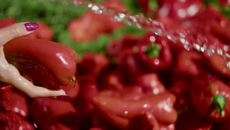 Close-up-of-hose-watering-red-kapia-pepper-fruit-in-hand-in-sunlight