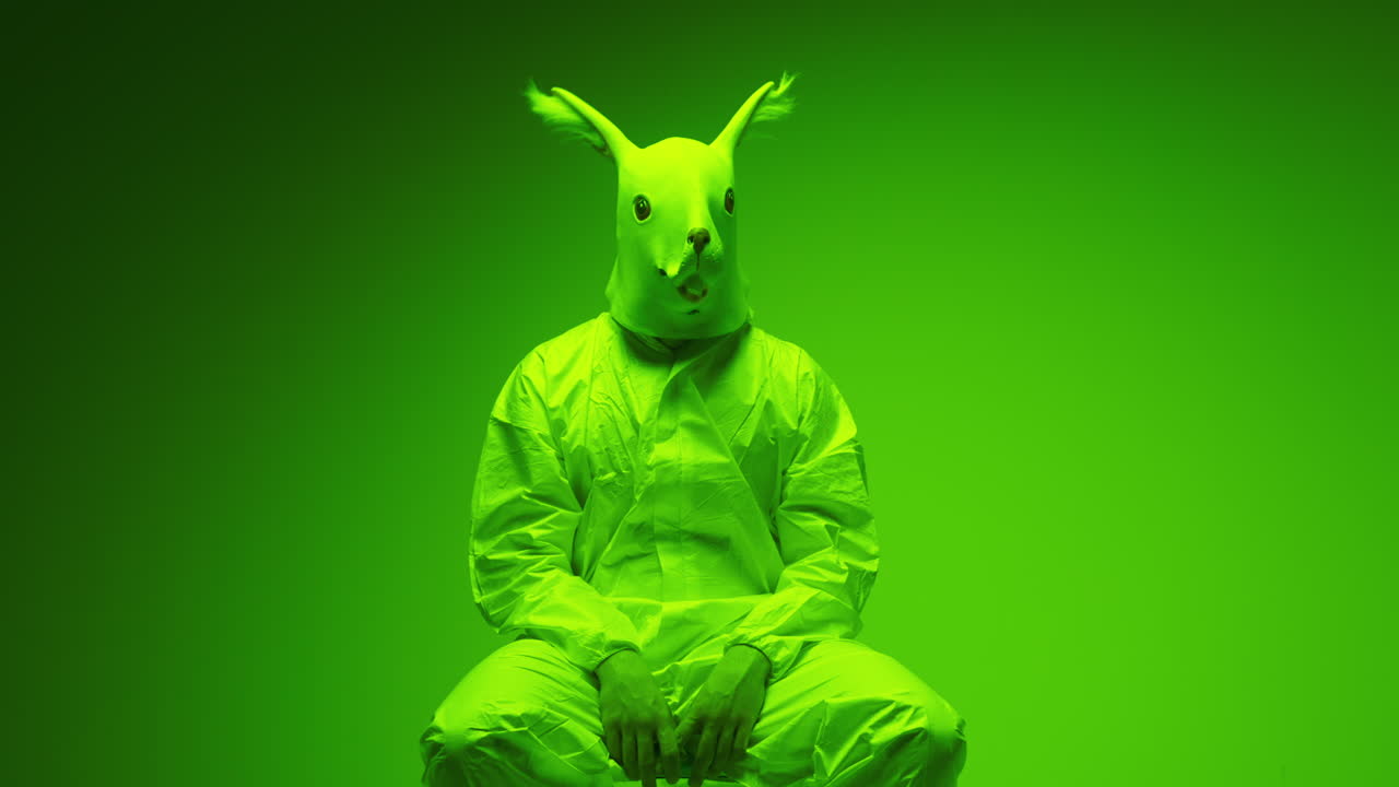 Person in Rabbit Mask and Green Suit