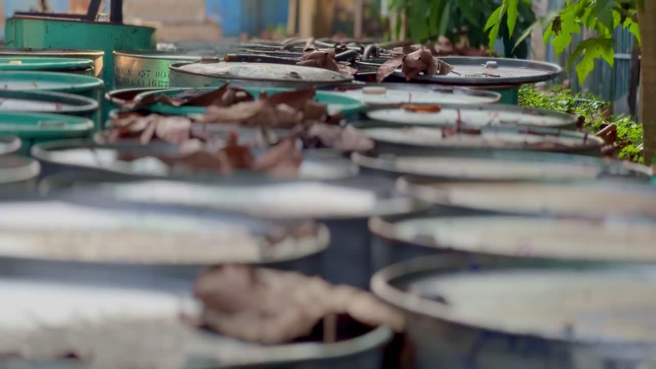 금속 배럴의 공개 던지기 독성 환경 화학 장소 야외