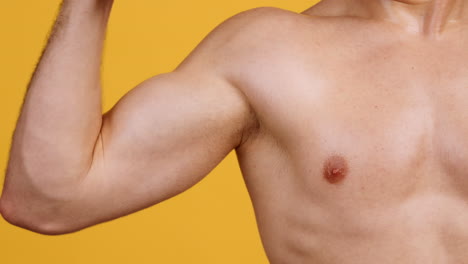 muscular man's upper body