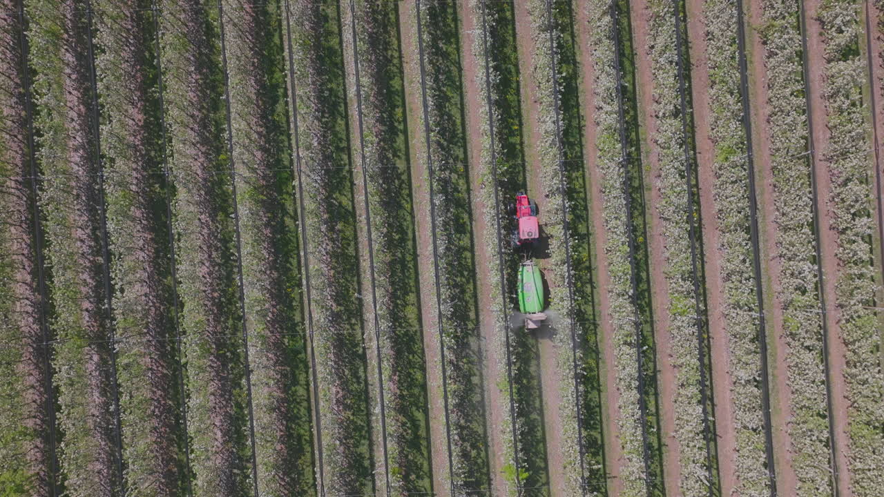 Aerial View of Tractor Spraying Apple Orchard