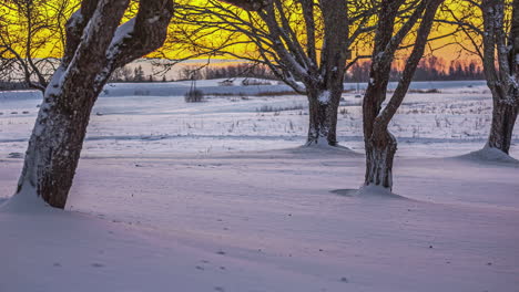 timelapse of sunset at the horizon change the snow color to purple