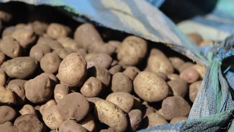 Kartoffeln-Warten-Darauf,-Verpackt-Zu-Werden