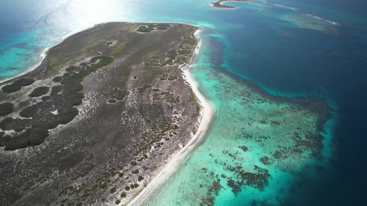 Costa dell'isola di Noronky con acqua turchese vibrante e barriere coralline sottostanti, vista aerea