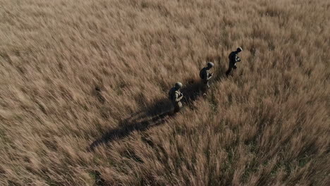 military personnel training in a field