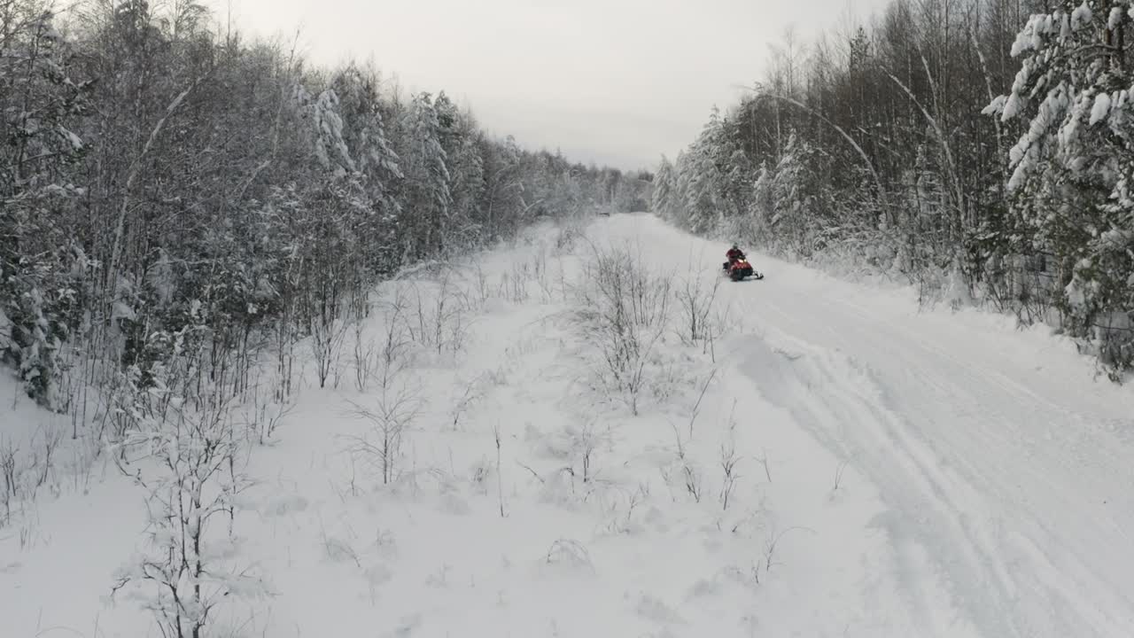 눈 인 숲 을 가로질러 스노우 모빌 을 타고