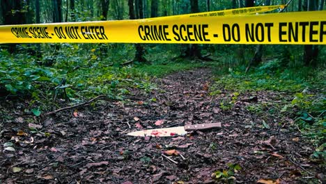 low angle close up footage of a bloody red kitchen knife dumped and abandoned on a leafy brown hiking trail in a day time dark and damp forest with yellow crime scene police caution tape hanging above