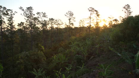 Panning-shot-at-dawn-of-Vinales-National-park-Cuba