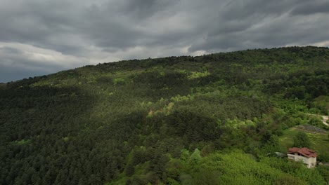 üppige-Berglandschaft-Aus-Der-Luft