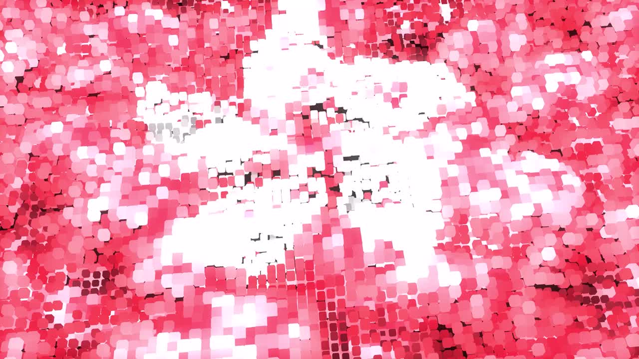 홍콩 밝은 발 - 루프