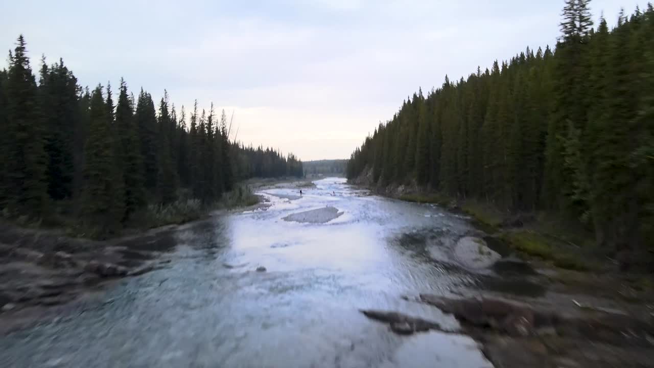 Drone che segue un ruscello in estate