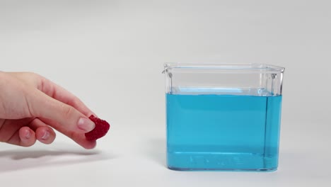 a raspberry is dropped into blue liquid, demonstrating buoyancy in a clear container under bright lighting