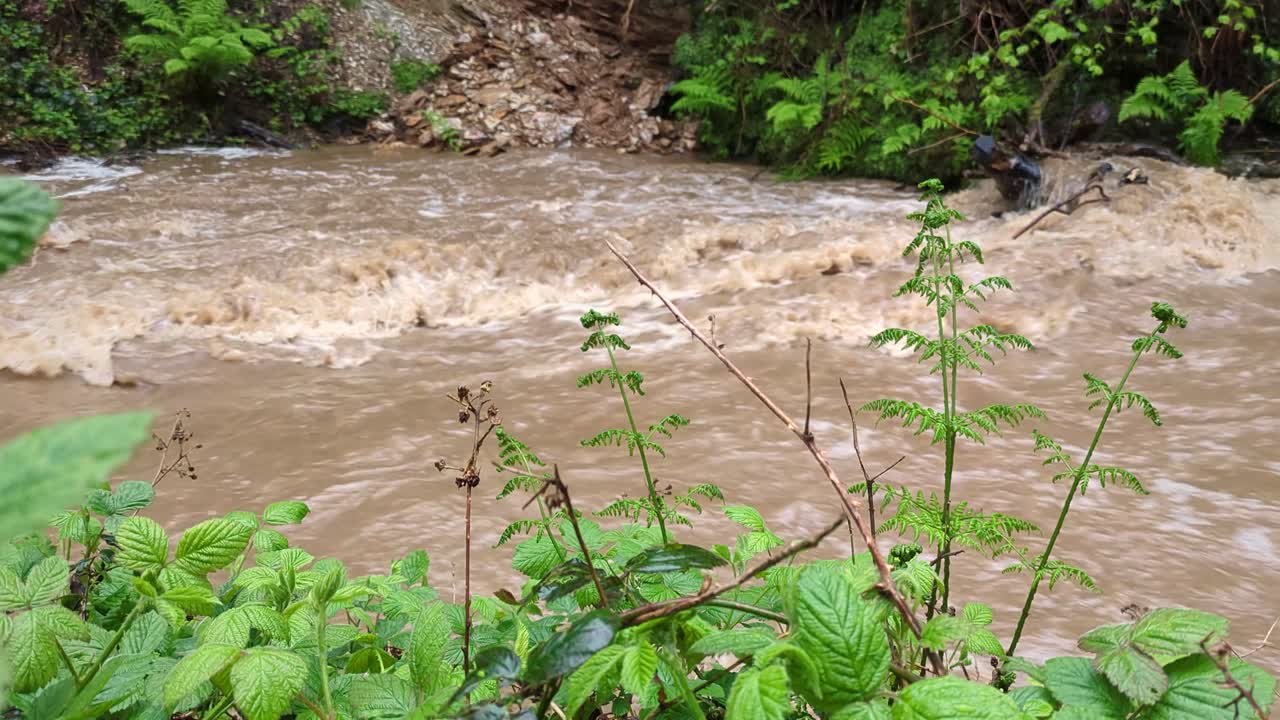 río sucio y fangoso que fluye rápidamente después de fuertes lluvias erosionando la orilla del río