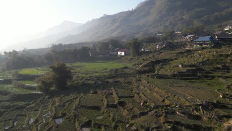 Aerial-drone-shot-of-bright-green-rice-terraces-in-the-mountains-of-Sapa,-Vietnam