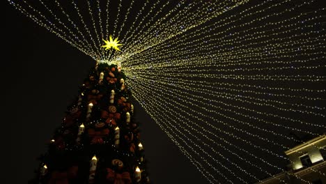 illuminated christmas tree at night