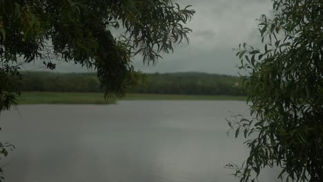 a serene lake in india, bordered by lush trees