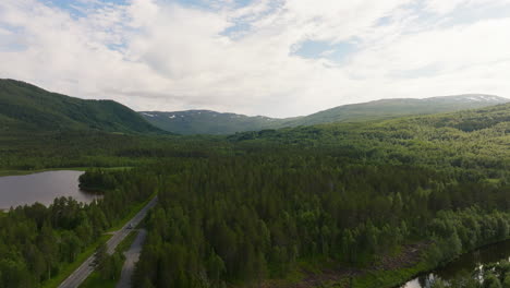 Landschaft-Mit-Grünen-Waldnadelbäumen-In-Der-Nähe-Von-Asphaltstraße-Und-See-In-Norwegen