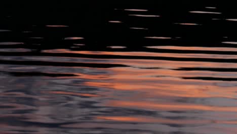 colorful ripples on a summer lake