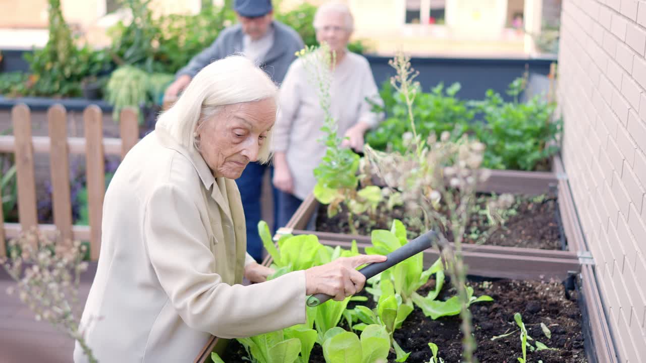 Seniors gardening