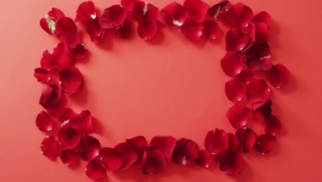 red petals frame on red background at valentine's day