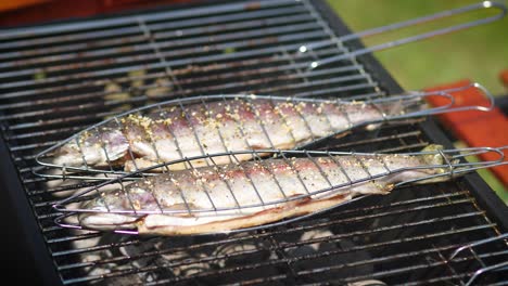 tasty whole fishes placed on barbecue grill